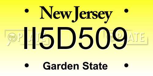 II5D509 New Jersey License Plate