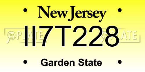 II7T228 New Jersey License Plate
