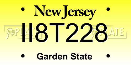 II8T228 New Jersey License Plate
