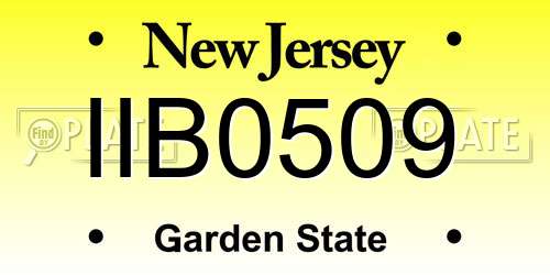 IIB0509 New Jersey License Plate