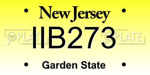 IIB273 New Jersey License Plate