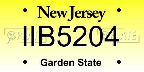 IIB5204 New Jersey License Plate