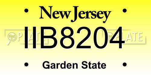 IIB8204 New Jersey License Plate