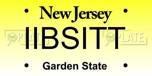 IIBSITT New Jersey License Plate