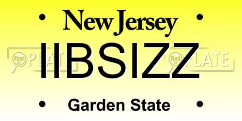 IIBSIZZ New Jersey License Plate