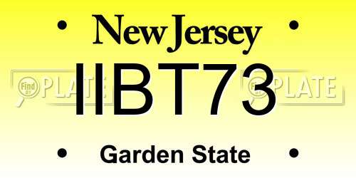IIBT73 New Jersey License Plate