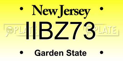 IIBZ73 New Jersey License Plate