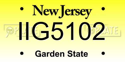 IIG5102 New Jersey License Plate