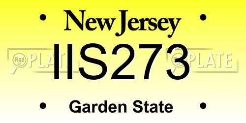 IIS273 New Jersey License Plate