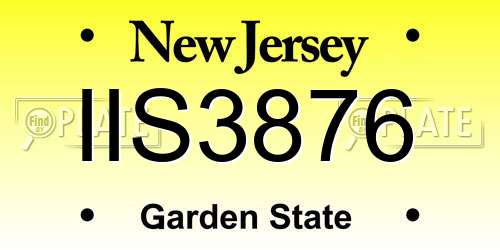 IIS3876 New Jersey License Plate