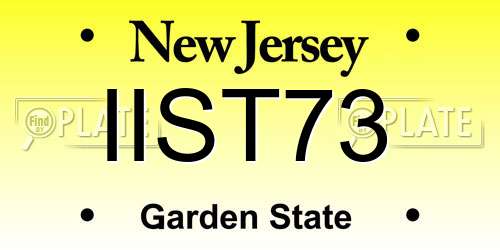 IIST73 New Jersey License Plate