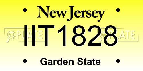 IIT1828 New Jersey License Plate