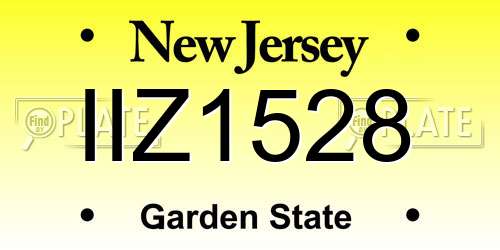 IIZ1528 New Jersey License Plate