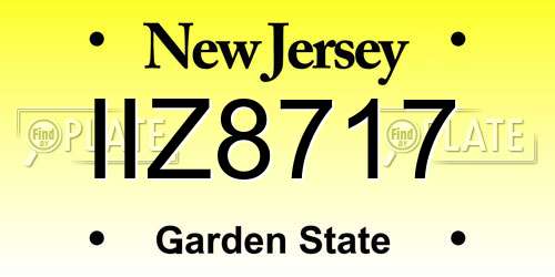 IIZ8717 New Jersey License Plate