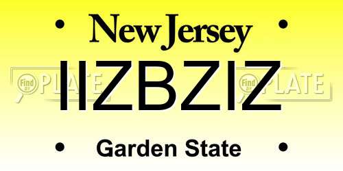 IIZBZIZ New Jersey License Plate