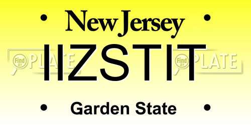 IIZSTIT New Jersey License Plate