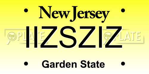 IIZSZIZ New Jersey License Plate