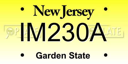 IM230A New Jersey License Plate