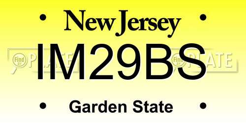 IM29BS New Jersey License Plate