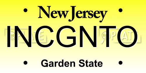 INCGNTO New Jersey License Plate