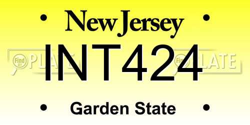 INT424 New Jersey License Plate