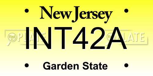 INT42A New Jersey License Plate