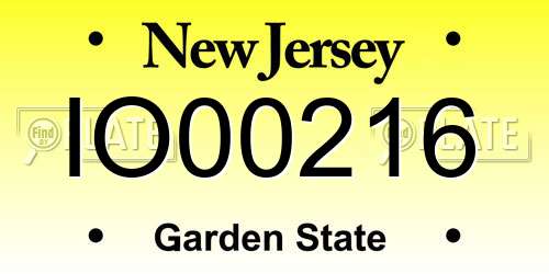 IO00216 New Jersey License Plate