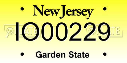 IO00229 New Jersey License Plate