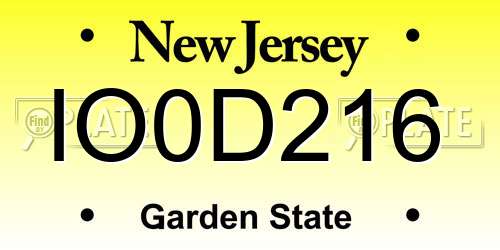 IO0D216 New Jersey License Plate