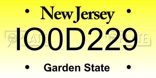 IO0D229 New Jersey License Plate