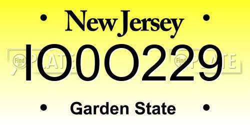 IO0O229 New Jersey License Plate