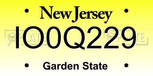 IO0Q229 New Jersey License Plate