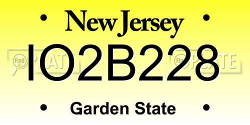 IO2B228 New Jersey License Plate