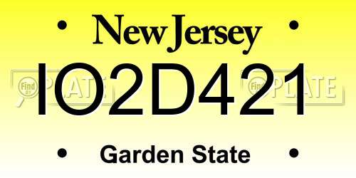 IO2D421 New Jersey License Plate