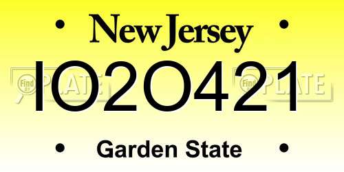 IO2O421 New Jersey License Plate