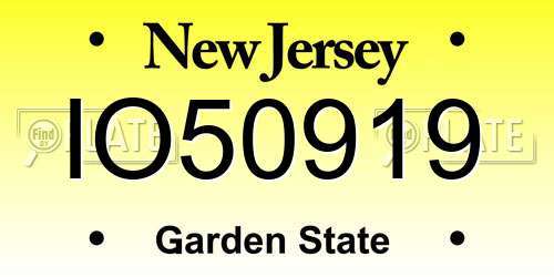 IO50919 New Jersey License Plate