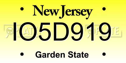 IO5D919 New Jersey License Plate