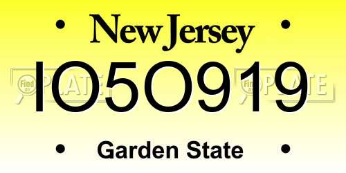 IO5O919 New Jersey License Plate