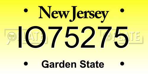 IO75275 New Jersey License Plate