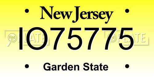 IO75775 New Jersey License Plate