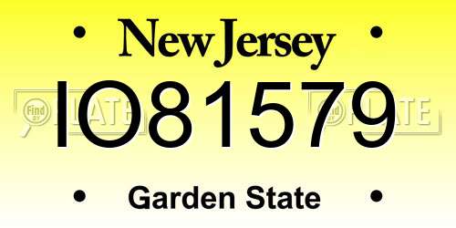IO81579 New Jersey License Plate