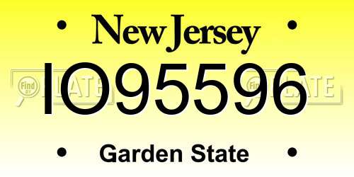 IO95596 New Jersey License Plate