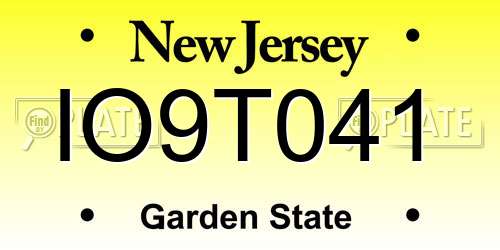 IO9T041 New Jersey License Plate