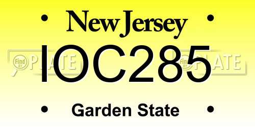 IOC285 New Jersey License Plate