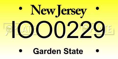 IOO0229 New Jersey License Plate