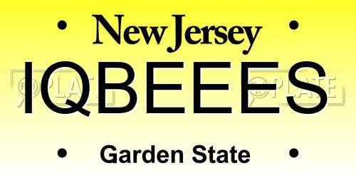 IQBEEES New Jersey License Plate