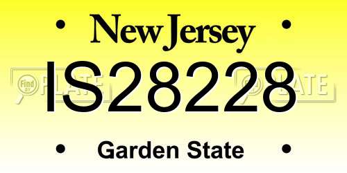IS28228 New Jersey License Plate