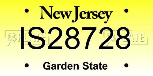 IS28728 New Jersey License Plate