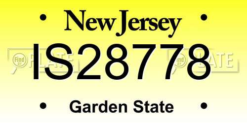 IS28778 New Jersey License Plate