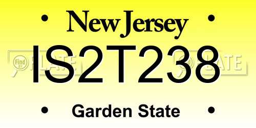 IS2T238 New Jersey License Plate